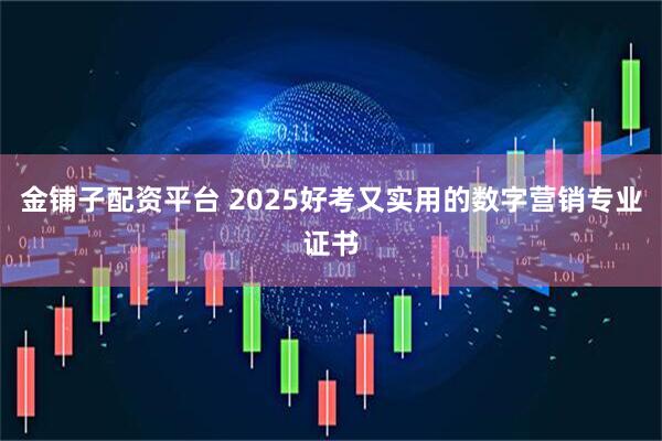 金铺子配资平台 2025好考又实用的数字营销专业证书