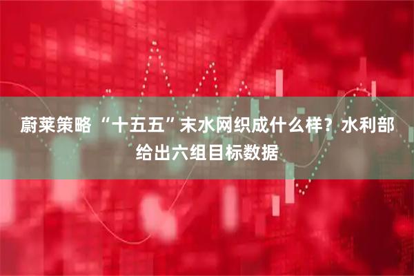 蔚莱策略 “十五五”末水网织成什么样？水利部给出六组目标数据